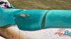 K59. SeaDoo GTS and Trailer **Key** - 9