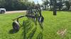 6-wheel hay rake - 7