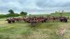 36&rsquo; CaseIH 5600 chisel plow, S/N: JAG0002610 - 3