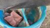 Poly mineral feeder - 3