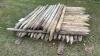 Used treated fence posts - 2