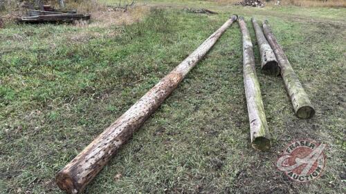 Hydro poles various lengths (F)