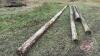 Hydro poles various lengths (F)