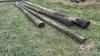 Hydro poles various lengths (F) - 4