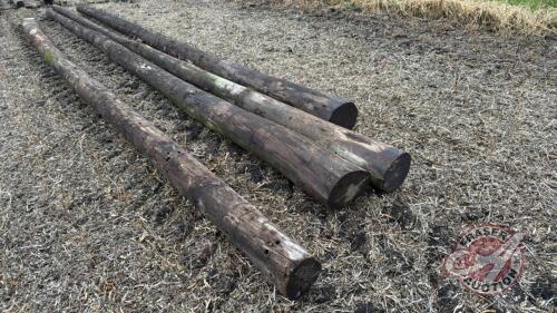 Hydro poles various lengths (B)