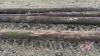 Hydro poles various lengths (B) - 2