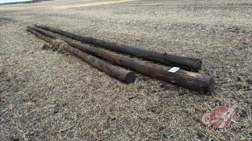 (3) hydro poles various lengths (A)