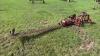 7&rsquo; MF 3pt bar mower s/n238-027586 - 7