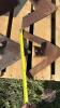 Pallet lot of assorted sweeps (Pallet E) - 7