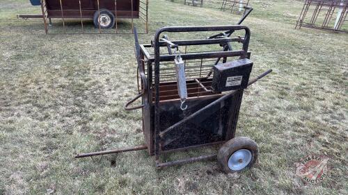 7-L calf scale
