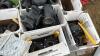 Assorted 3&rdquo; banjo valves and couplers Pallet B - 8
