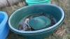7&rsquo; poly stock water trough (C) (dark green) - 2