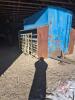 Approx 200 bus creep feeder w/ panels and rear mineral station - 5