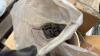 Chain, Bolts, PTO shield (ZZ) - 7