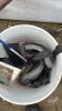 Dry wall mudding pail - 2