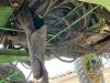 K111 John Deere 4920 sprayer, SN-004308 - 8