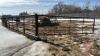 30&rsquo; freestanding panel with a 16&rsquo; gate (CCC) - 4