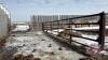 30&rsquo; freestanding panel with a 16&rsquo; gate in both ends (AAA) - 3