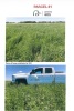 LAND INFORMATION - 9