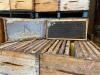 Brood Chamber (some heavy comb and some empty comb) - 2