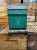 5-Frame wooden Nuc box (Empty no frames)