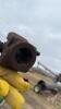 2006 Bau-man 2416 Pto pump S/N 240659 - 3