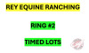 There are many more items to bid on in this sale. The remaining items will be sold by TIMED Online Selling. Please go to RING #2 for all REY EQUINE RANCHING TIMED LOTS (Click on the big Fraser Auction Logo at top of page to be directed back to Homepage)