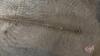 Pallet L 15&rsquo;x3/8&rdquo; chain - 2