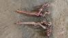 Pallet P (2) chain binders