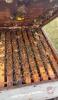 Single Brood Colony (HIVE #493 - 504) - 7