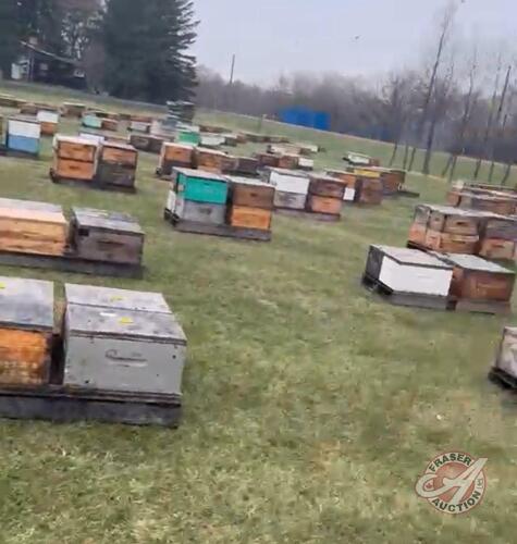 Single Brood Colony (HIVE #409 - 432)
