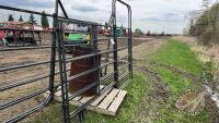 F212 NEW 10' 6 bar panel with 4' walk thru gate (B)