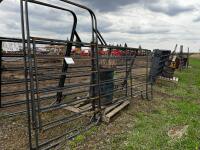 F212 NEW 12' 6 bar panel with 4' walk thru gate (C)