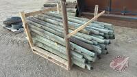 A53 Pallet of Used Treated Fence Posts