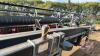 A113 36' HoneyBee Grain Belt Header - 8