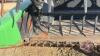 A110 2014 35' John Deere D435 Draper Header - 12