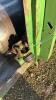 A104 30' 930 John Deere Header, S/N- R677001 - 8