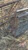 A82 2 Misc Gates (10.5'-11') (E) - 2