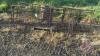 A82 2 Misc Gates (10.5'-11') (E) - 3