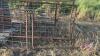 A82 2 Misc Gates (10.5'-11') (E) - 4