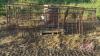 A82 3 Misc Gates (2x12'- 1x8') (F)