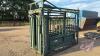 A122 Rugged Ranching Squeeze Chute - 5