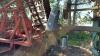 A132 36' John Deere 1610 Tillage with 17 1/2 Hawkaas Mole Hill Leveler Shovels with Chains on Rear Row - 3