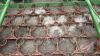 A132 27' 3pt Pasture Harrow/Arena Leveler - 6