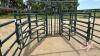 A139 Hi-Hog Maternity Pen with Head Gate - 6