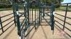 A139 Hi-Hog Maternity Pen with Head Gate - 7