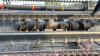 A187 30' MacDon 960 Harvest Draper Header, S/N 94230 - 11