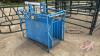 A183 Calf Scale - 3