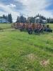40&rsquo; Bourgault 8810 air seeder with Bourgault 2155 air cart - 2