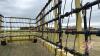 70&rsquo; Degelman StrawMaster 7000 heavy harrows s/n: 2321 - 10